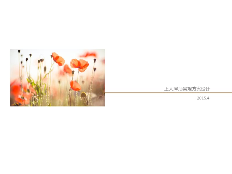 屋頂花園景觀方案.ppt_第1頁(yè)