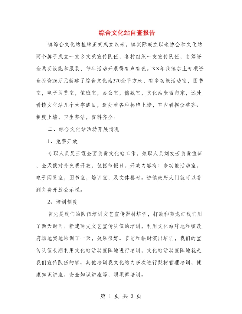 综合文化站自查报告.doc_第1页