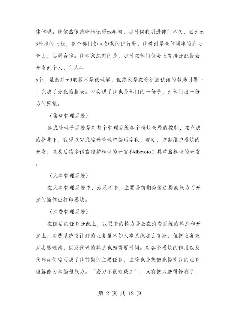 软件开发部个人工作总结.doc_第2页