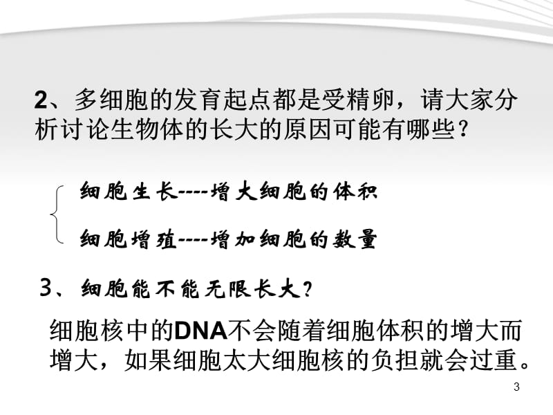 高中生物教师竞赛作品第六章细胞的增殖新人教版必修1ppt课件_第3页