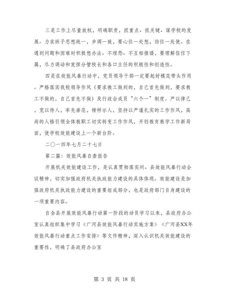 效能风暴行动自查报告.doc_第3页