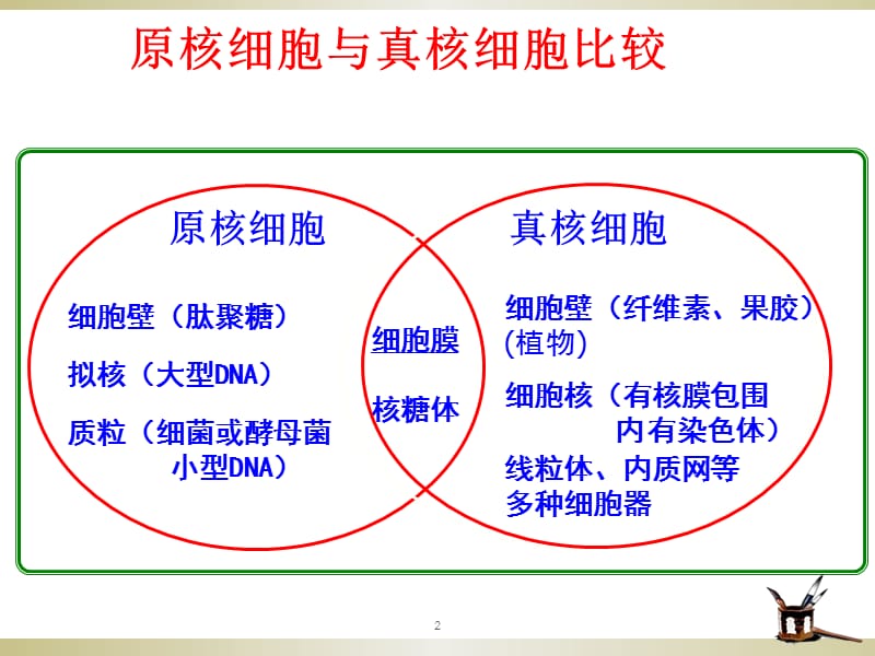 高中生物常见细胞有关知识汇总ppt课件_第2页