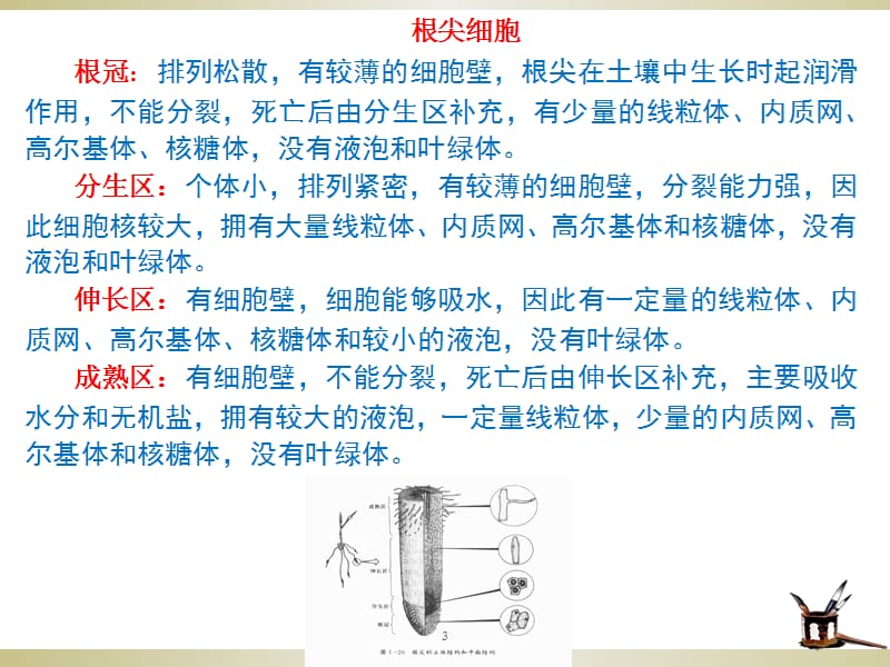 高中生物常见细胞有关知识汇总ppt课件_第3页