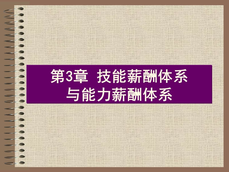 技能薪酬體系與能力薪酬體系.ppt_第1頁