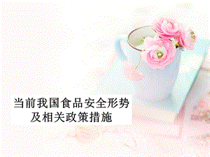 當(dāng)前食品安全形勢(shì)2-劉玲老師.ppt