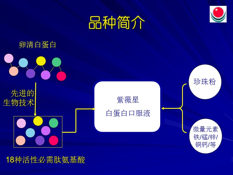 紫薇星白蛋白口服液市场策划.ppt_第3页