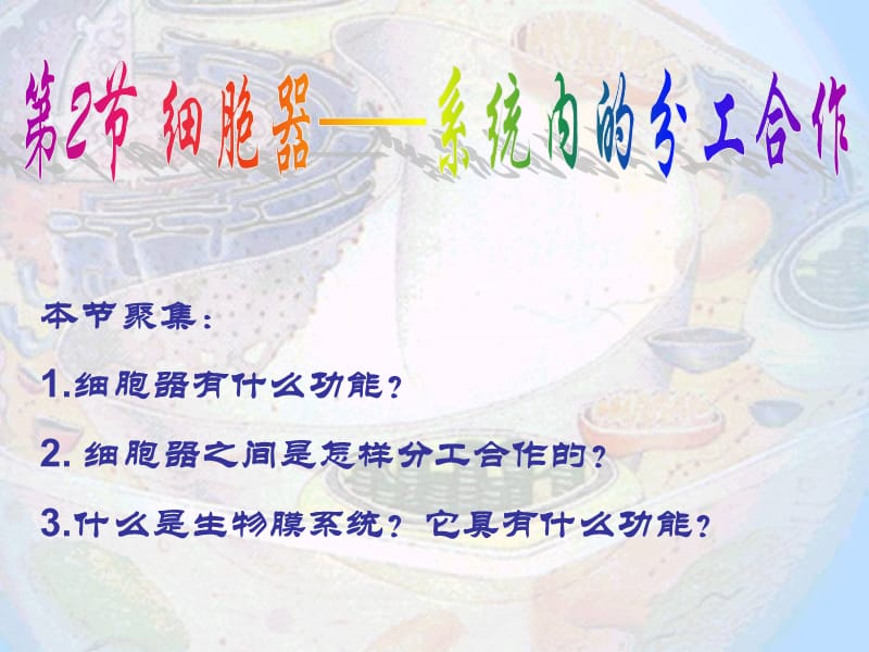 细胞器结构和功能介绍.ppt_第1页