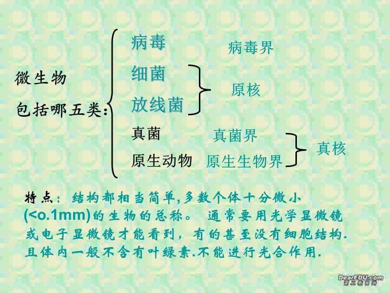 苏教版教学课件微生物的培养基一课件.ppt_第2页