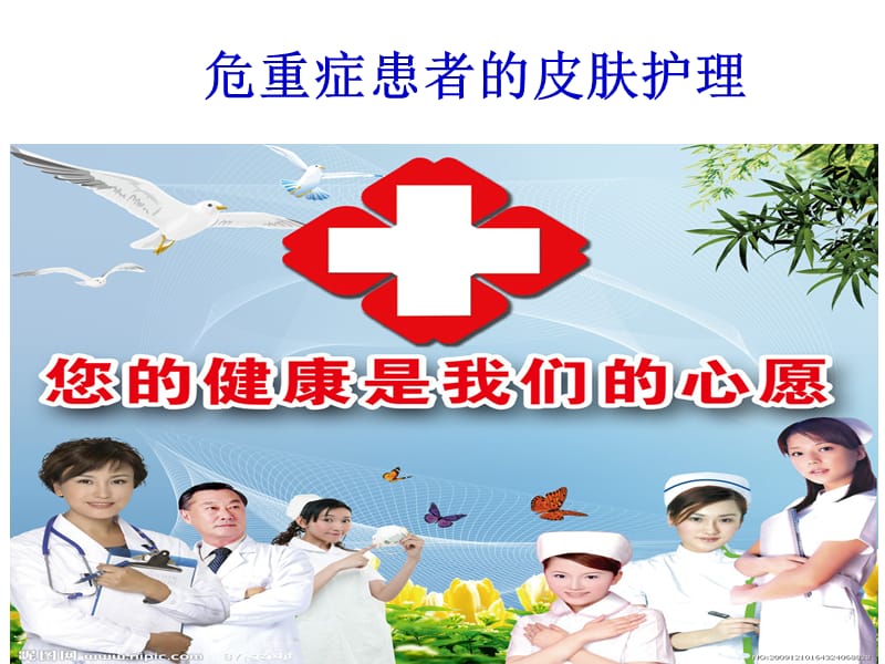 重症患者的皮肤护理.ppt_第1页