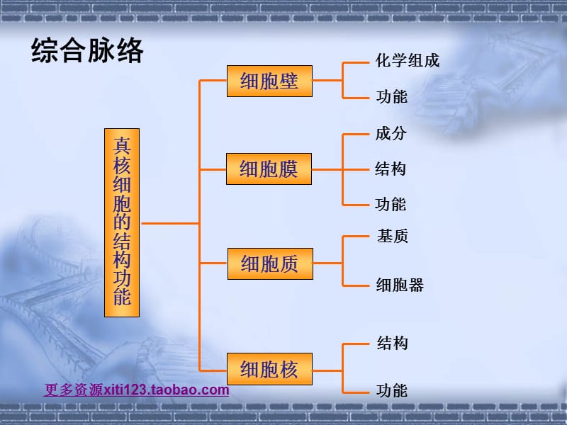 高一生物细胞的结构和功能.ppt_第3页