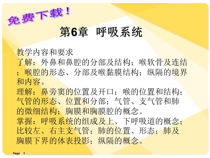 解剖学基础课件第6章呼吸系统.ppt_第1页