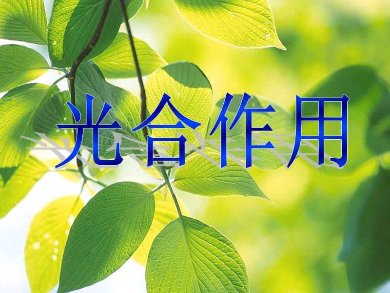 苏教版教学素材高中生物(必修)光合作用.ppt_第1页