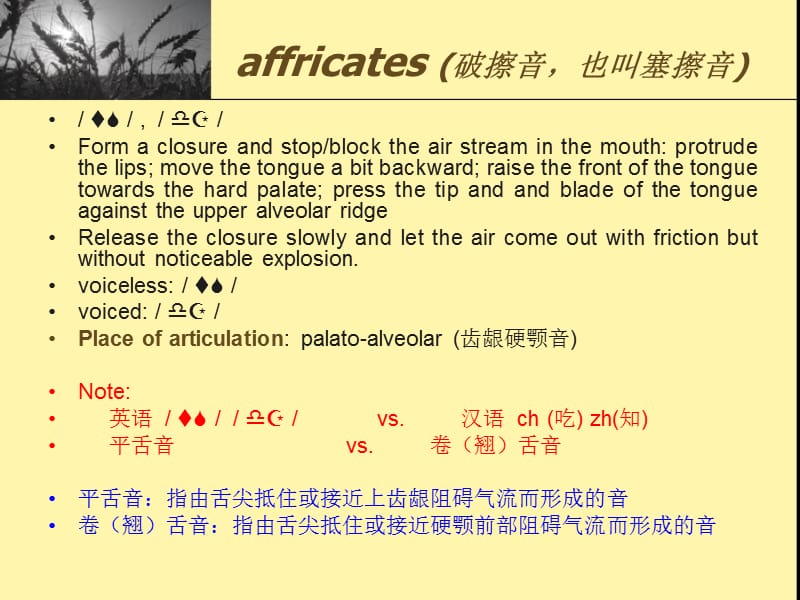 英语Affricates破擦音.ppt_第2页