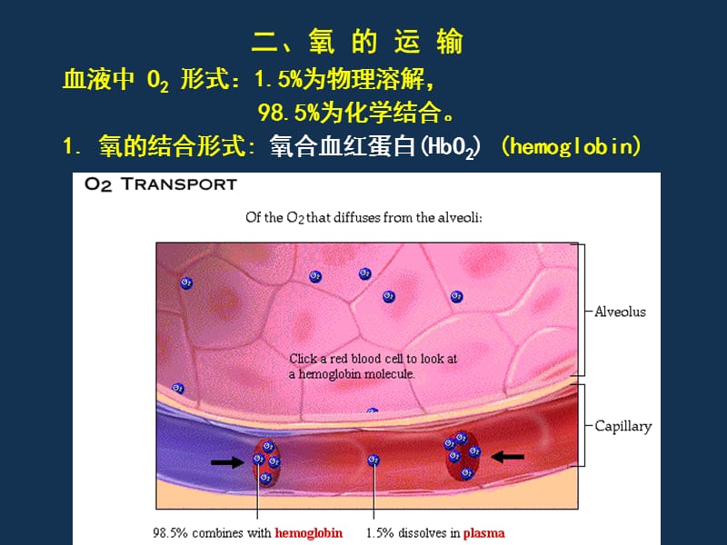 血液中O2和CO2的运输.ppt_第2页