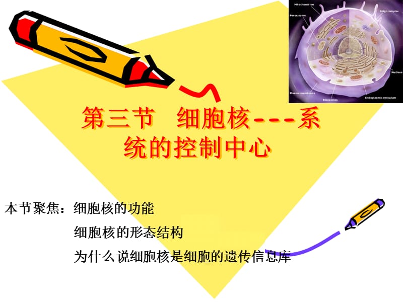 细胞的基本结构第三节.ppt_第1页