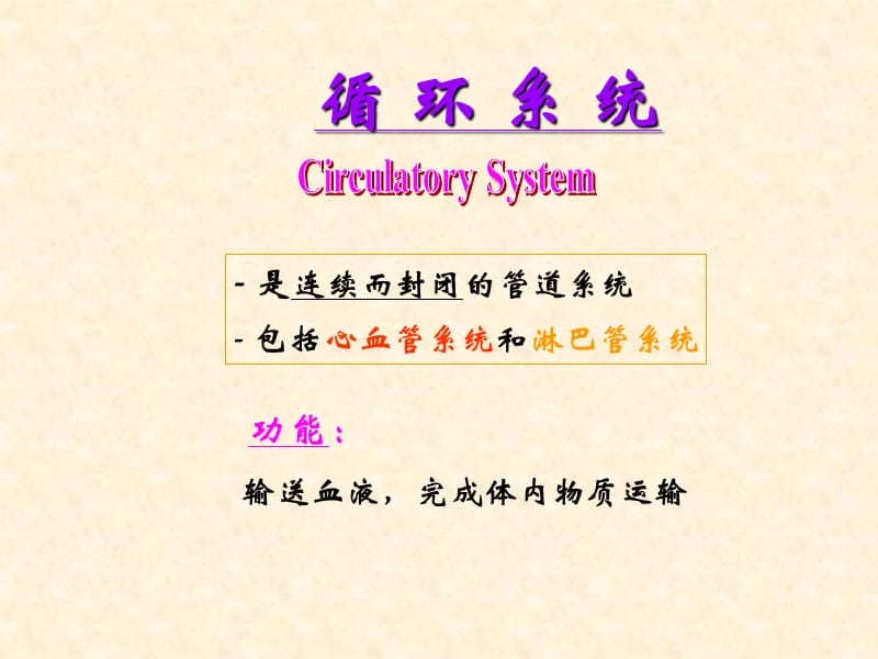 组织学与胚胎学6-循环-学生.ppt_第3页