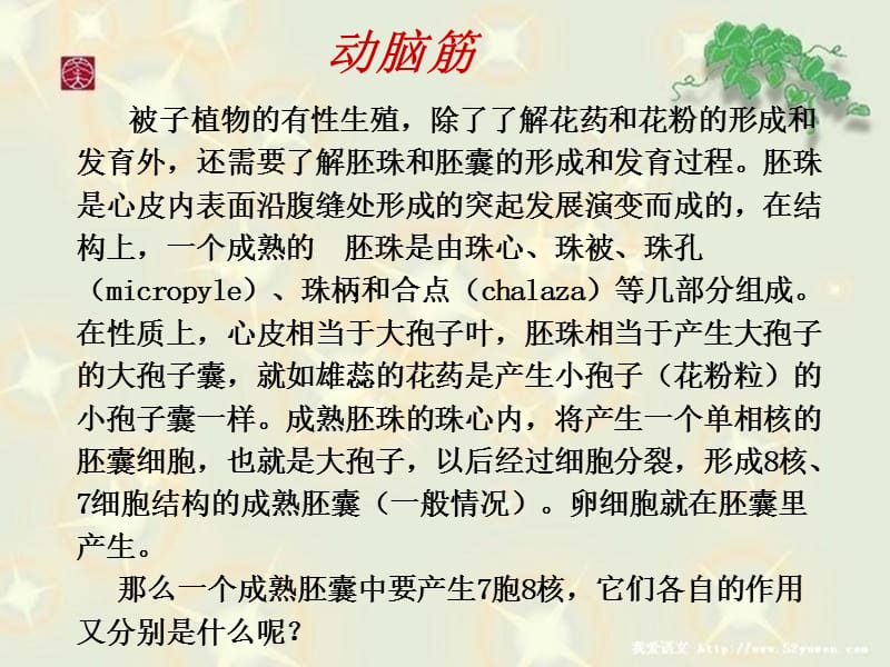 胚珠的发育和胚囊的形成.ppt_第2页