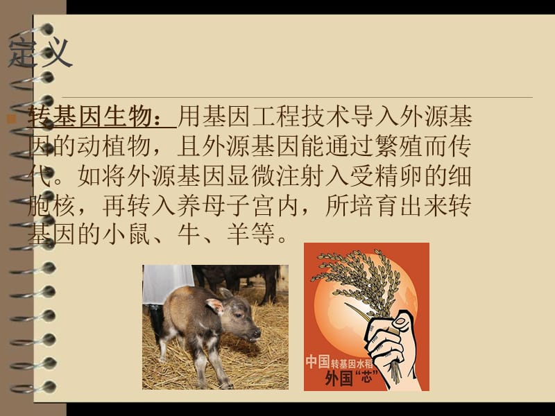 转基因的生物伦理道德.ppt_第2页