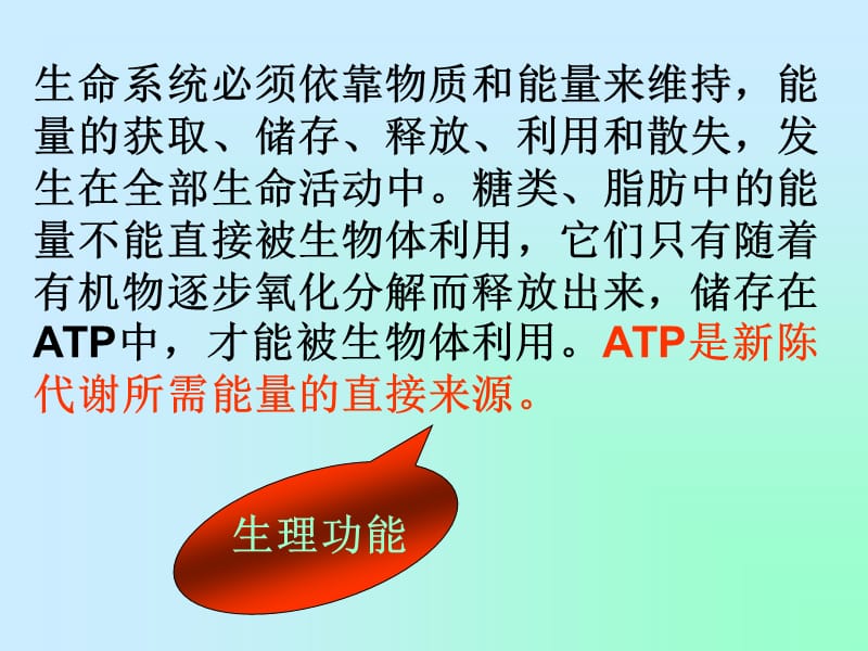 高一生物细胞的能量“通货”-ATP课件.ppt_第2页