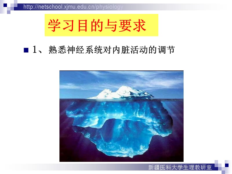 神经系统对内脏活动调节.ppt_第2页