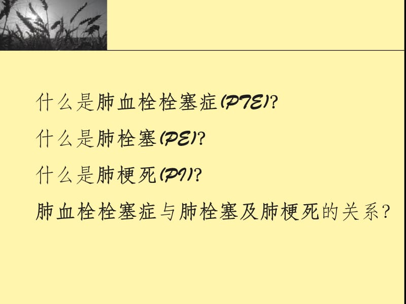 肺血栓栓塞症及其预防.ppt_第2页