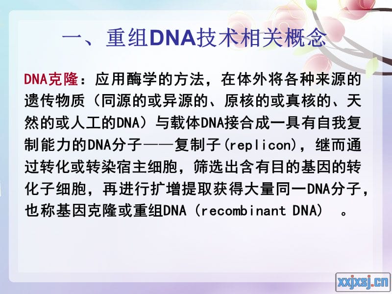 重组DNA技术相关概念.ppt_第1页