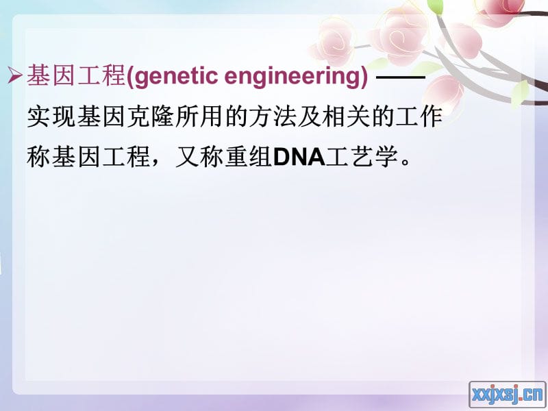 重组DNA技术相关概念.ppt_第2页