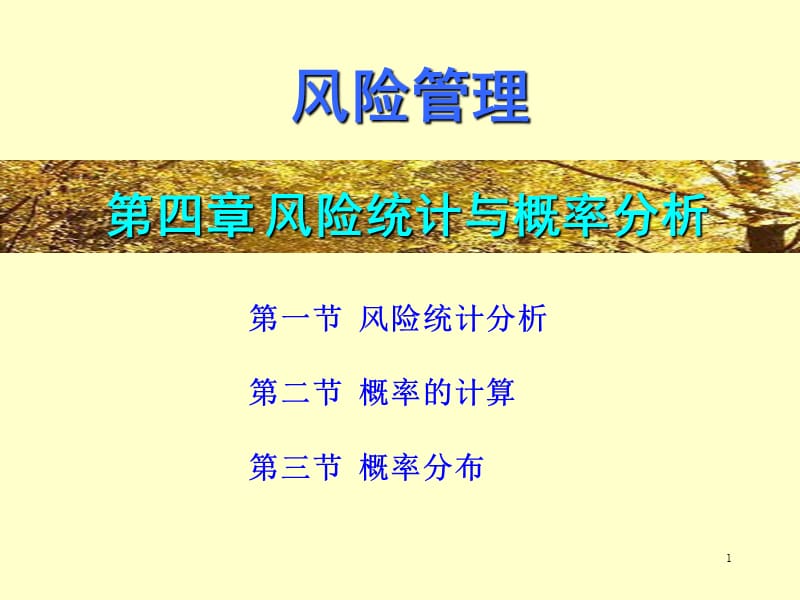 风险统计和概率分析.ppt_第1页