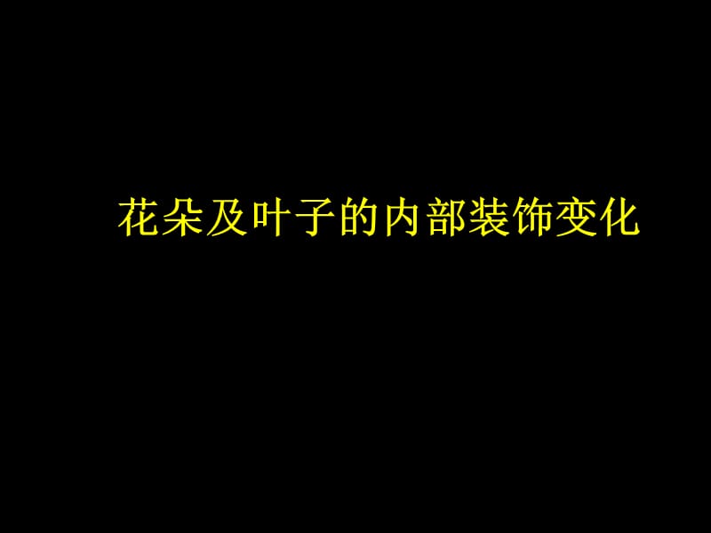 花卉图案变形的基本方法.ppt_第2页