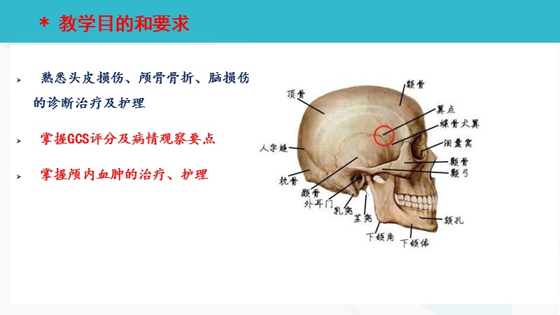 颅脑损伤病人的护理.ppt_第2页