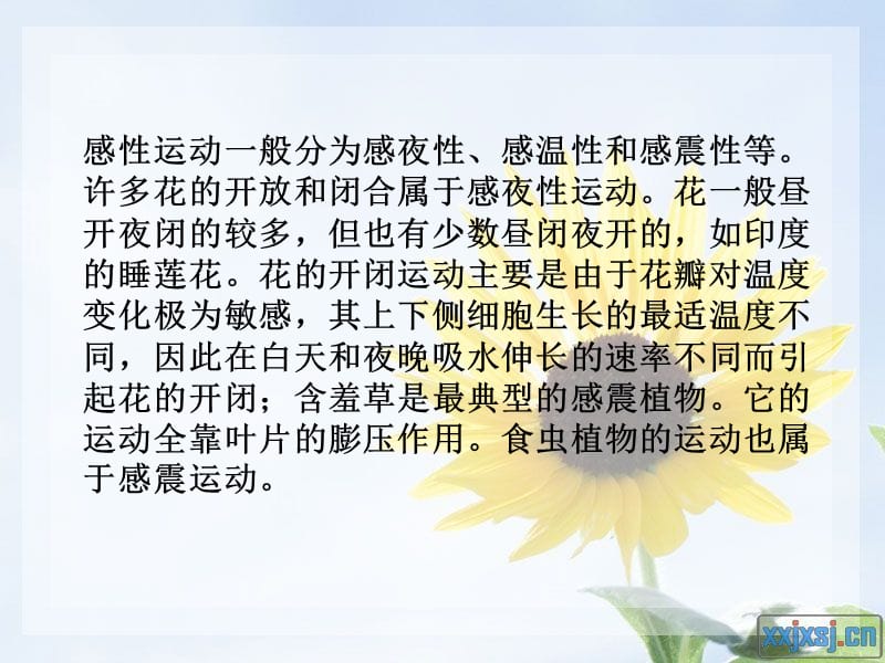 科学9、植物的运动(改)制作人：贾昂、冯艳彤.ppt_第3页