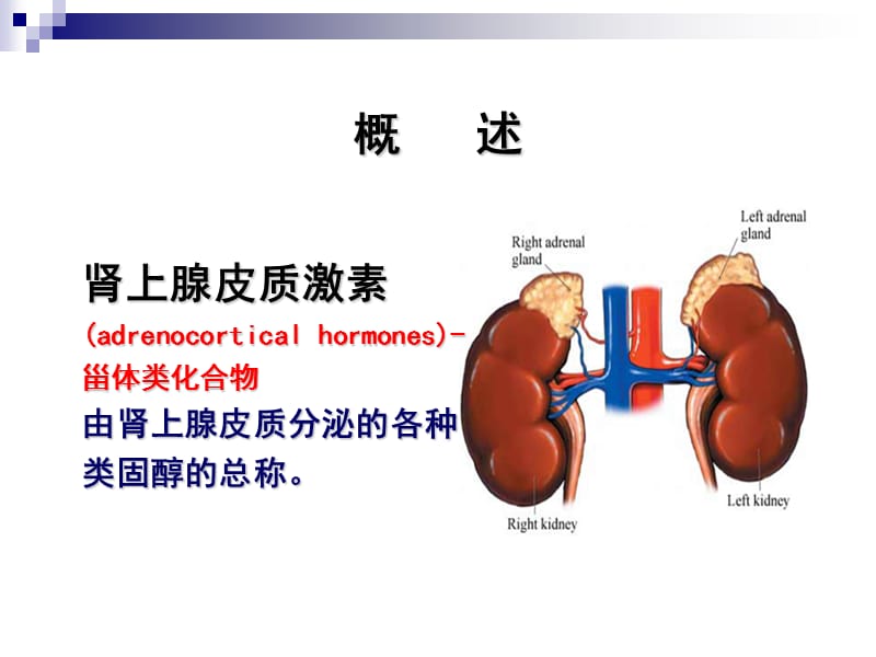 肾上腺皮质激素类药.ppt_第2页