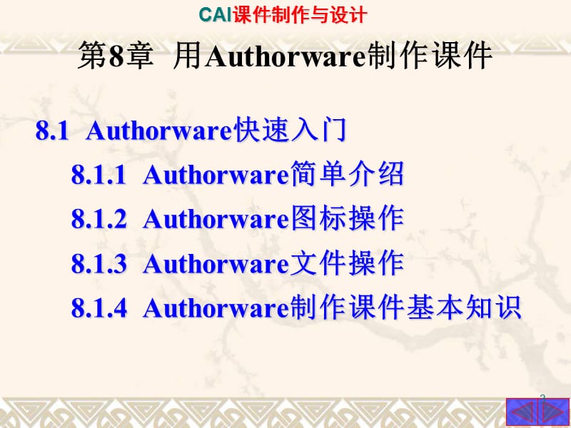 CAI制作教程8ppt课件_第3页