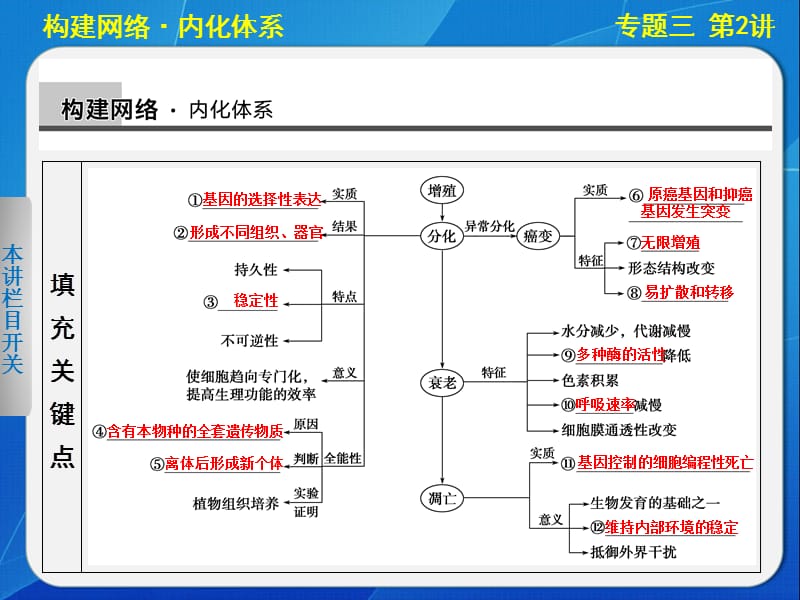 细胞的分化、衰老、凋亡和癌变.ppt_第2页