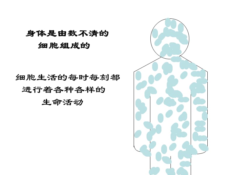 细胞的生活需要物质和能量.ppt_第2页