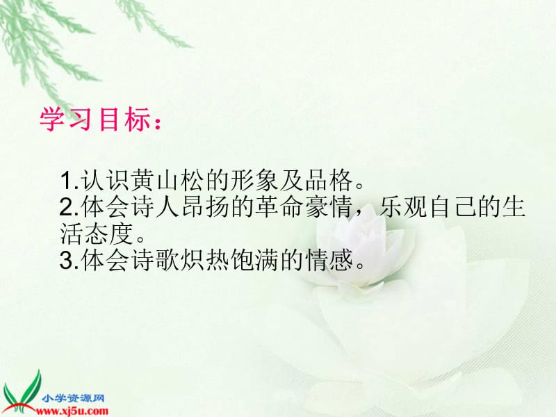 西师大版六年级语文下册《黄山松3》PPT课件.ppt_第3页