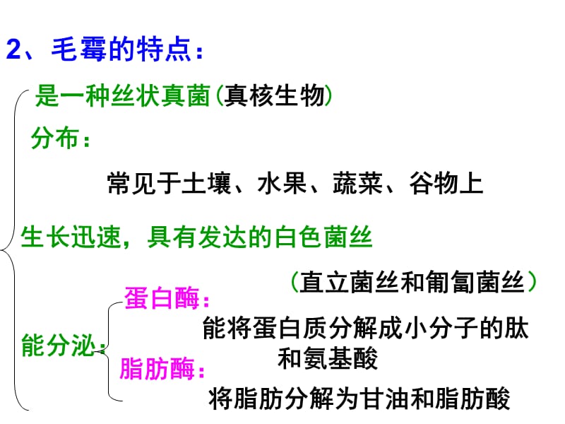 苏教版教学课件腐乳的制作原理及过程.ppt_第3页