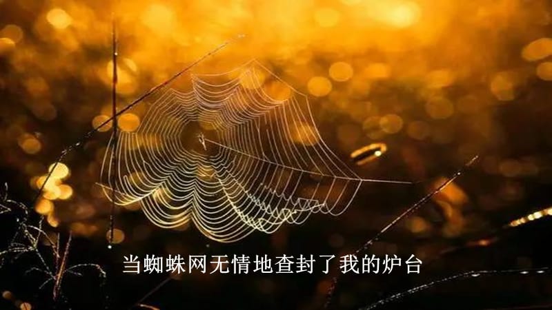 诗歌朗诵：相信未来.ppt_第2页