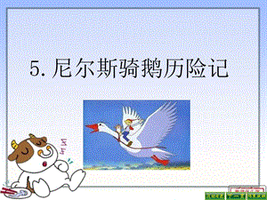 語(yǔ)S版六年級(jí)上冊(cè)5《尼爾斯騎鵝歷險(xiǎn)記》PPT.ppt