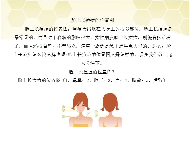 脸上长痘痘的位置图.ppt_第1页