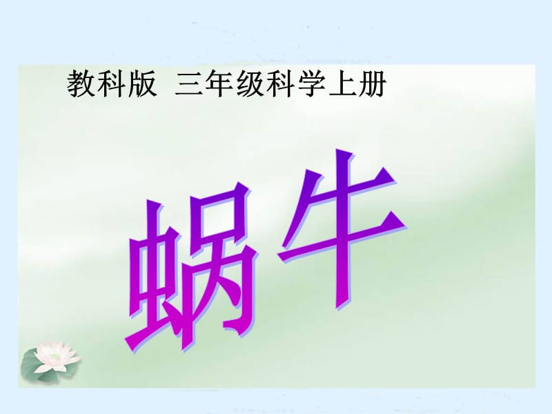 蜗牛(教科版)三年级科学上册PPT课件.ppt_第1页