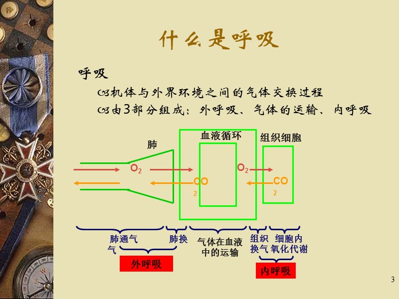 Drager呼吸机的使用ppt课件_第3页