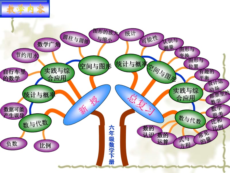 说教材知识树6数下陈金盛.ppt_第3页