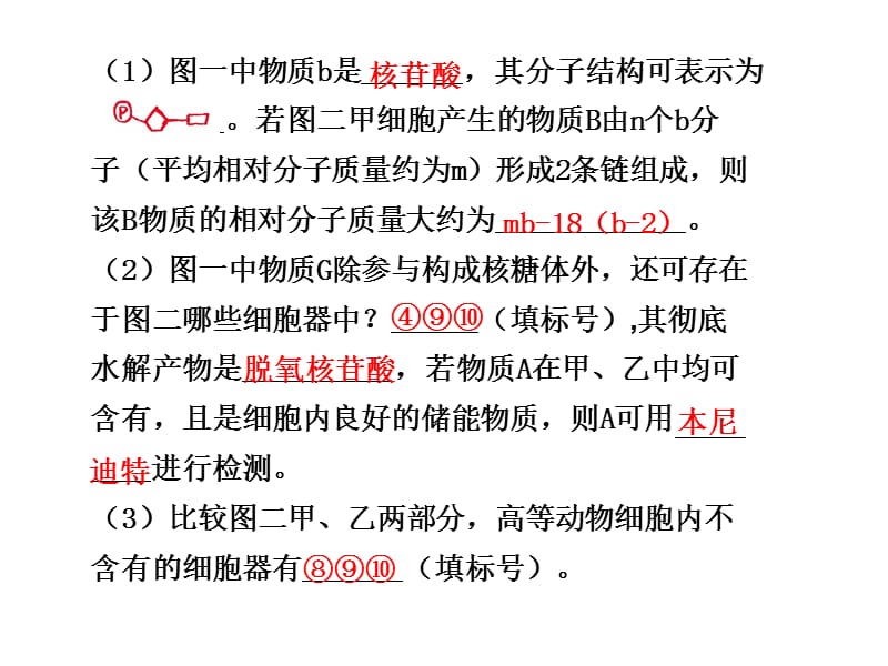 规范答题3 有关物质组成和细胞结构综合应用案例.ppt_第2页