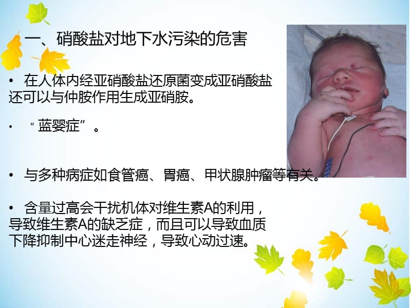 硝酸盐对地下水的污染.ppt_第3页