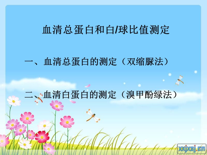 血清总蛋白和白球比值测定.ppt_第1页