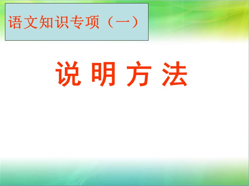 语文知识专项(说明方法).ppt_第1页