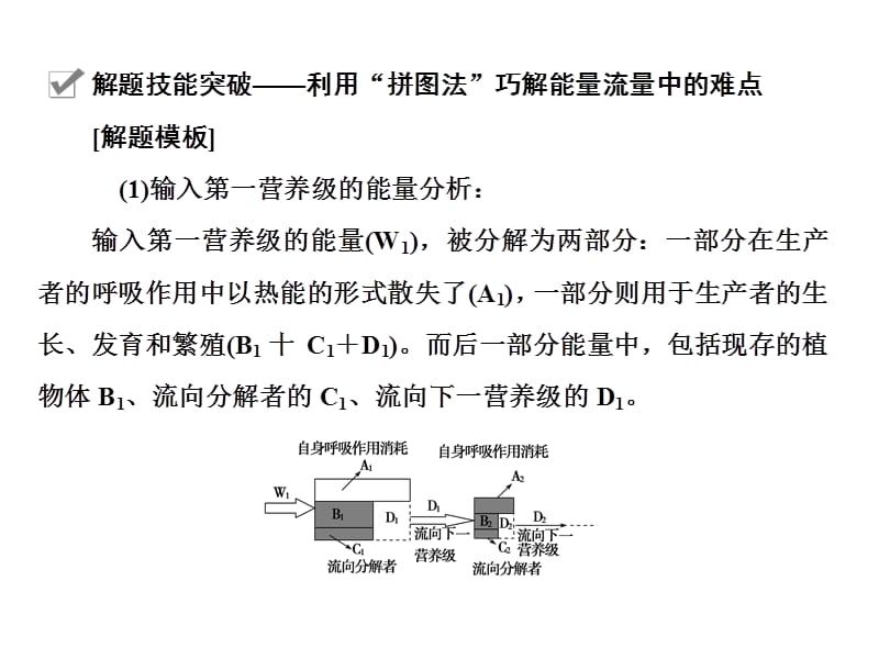 解题技能突破-利用“拼图法”巧解能量流量中的难点.ppt_第2页