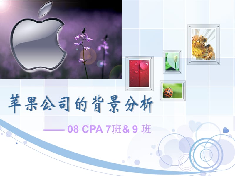 苹果公司的背景分析.ppt_第1页