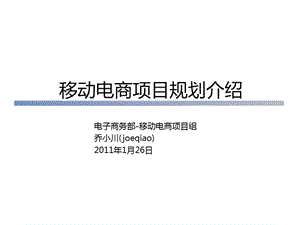 移動(dòng)互聯(lián)網(wǎng)電子商務(wù)平臺(tái)項(xiàng)目規(guī)劃.pptx